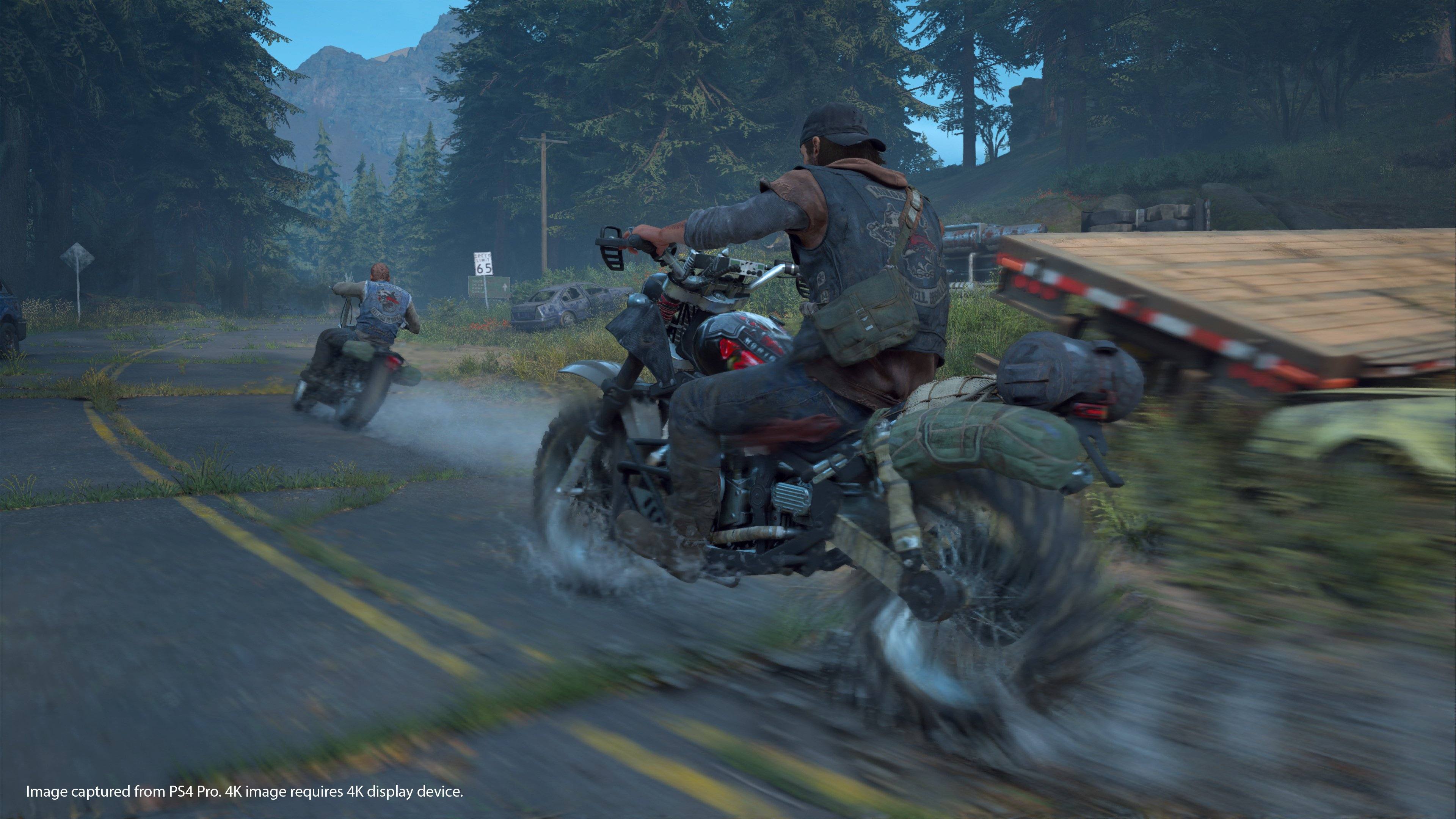 Days Gone - Imagen 39
